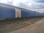 CPS FLT-034815-5